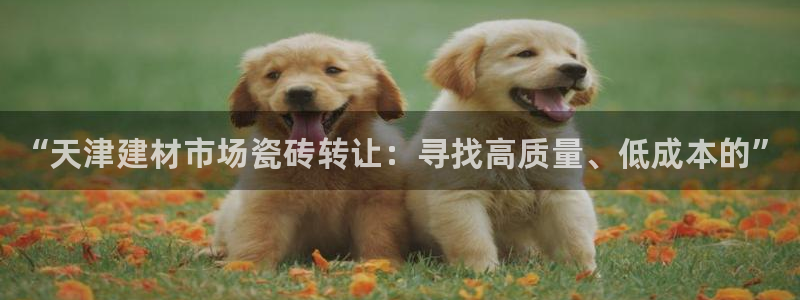 杏鑫平台靠谱吗