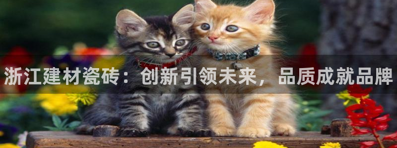 杏鑫平台代理怎么样赚钱