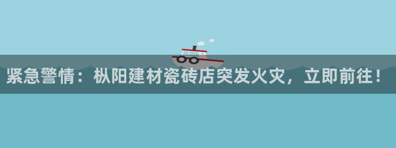 杏鑫官网最新信息新闻