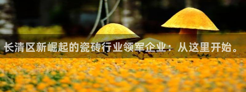 杏鑫代理注册资金多少