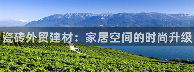 杏鑫平台代理注册登录不了怎么办呀苹果