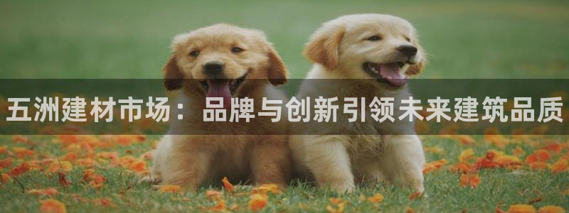 杏鑫平台代理注册多少钱一年