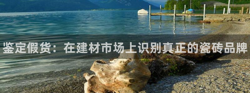 杏鑫平台代理注册多少钱一年