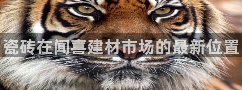 杏鑫代理注册登录