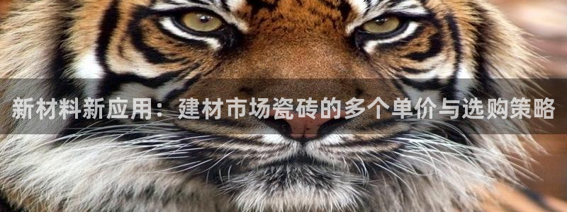 杏鑫官网注册账号是什么