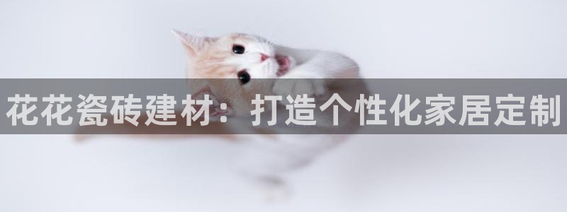 杏鑫平台注册地址是哪里