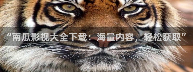 伊人狼人电影院